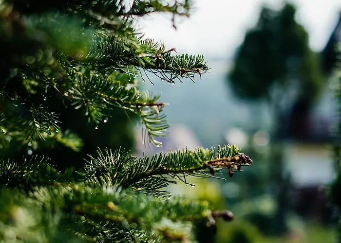 Marta M Sauna Jacuzzi 3* Ζακοπάνε